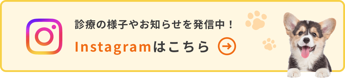 Instagramはこちら